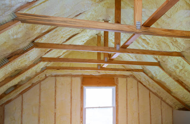 Professional Insulation Contractor in China Grove, TX