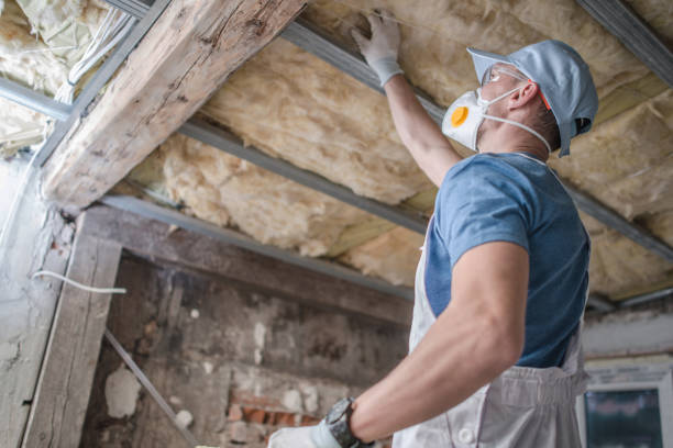 Best Geographic-Specific Insulation Services in China Grove, TX